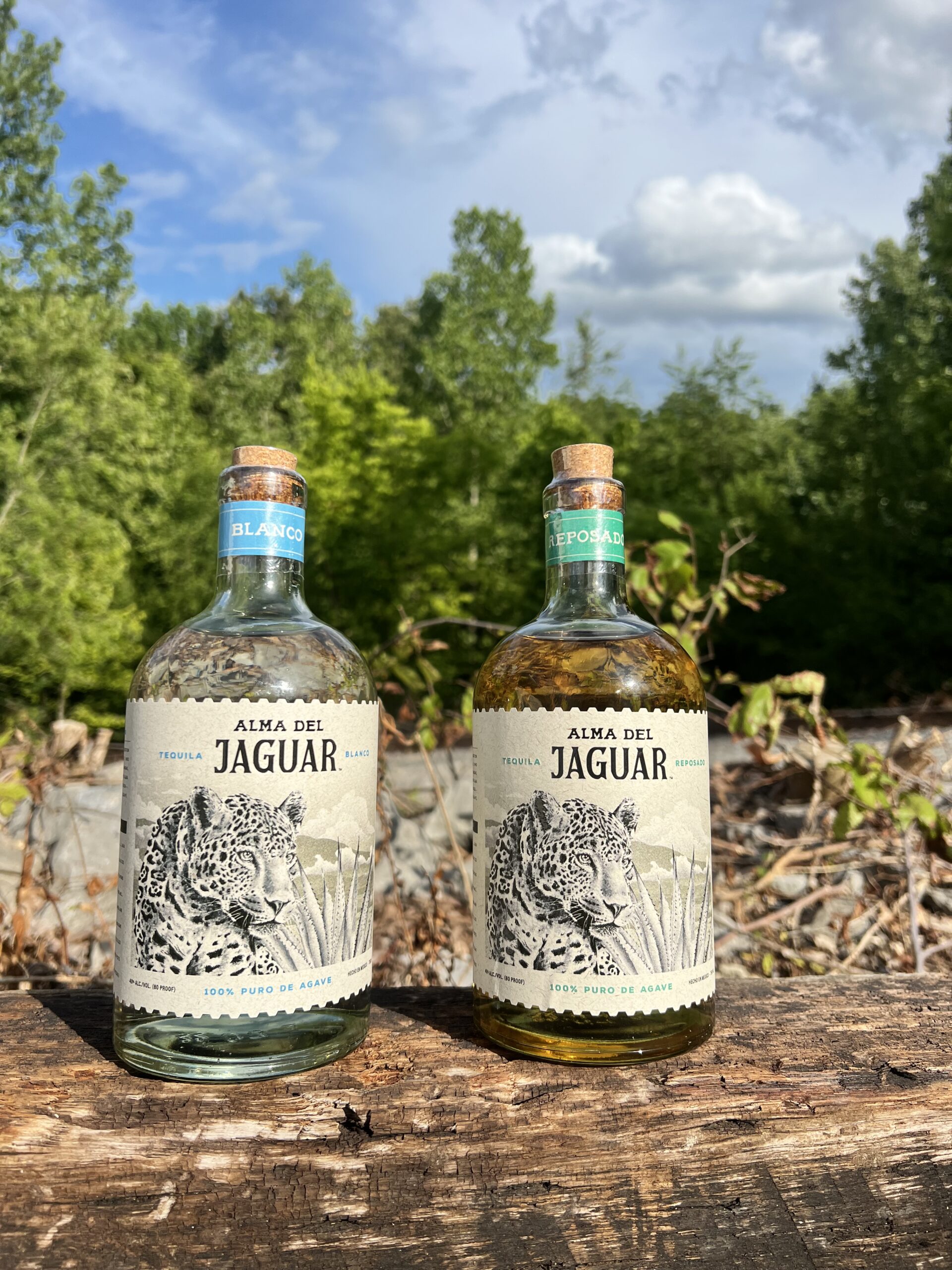 A photo of Alma del Jaguar tequila for sale now at 931 Wine + Spirts. Try blanco and reposado today.